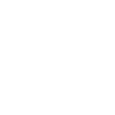  Customizable Screen Language